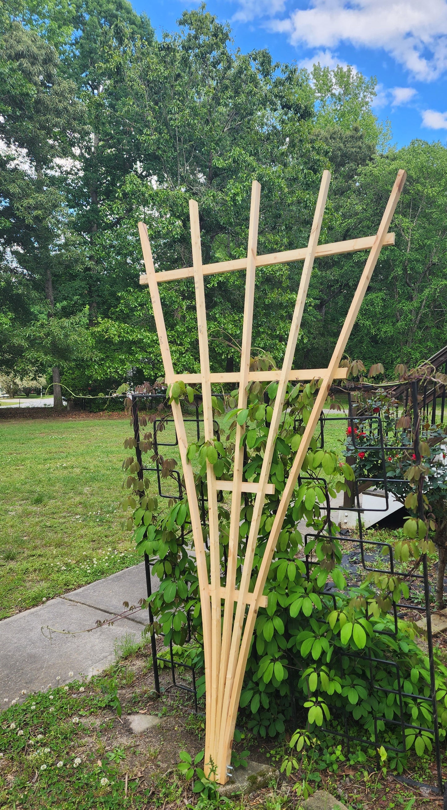 Trellis