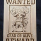 One Piece Art